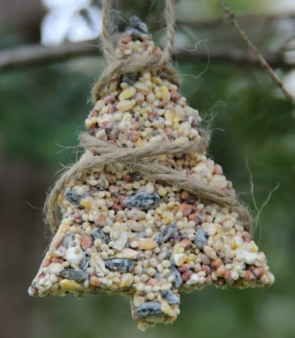Choinka dla ptaków przygotowana z nasion